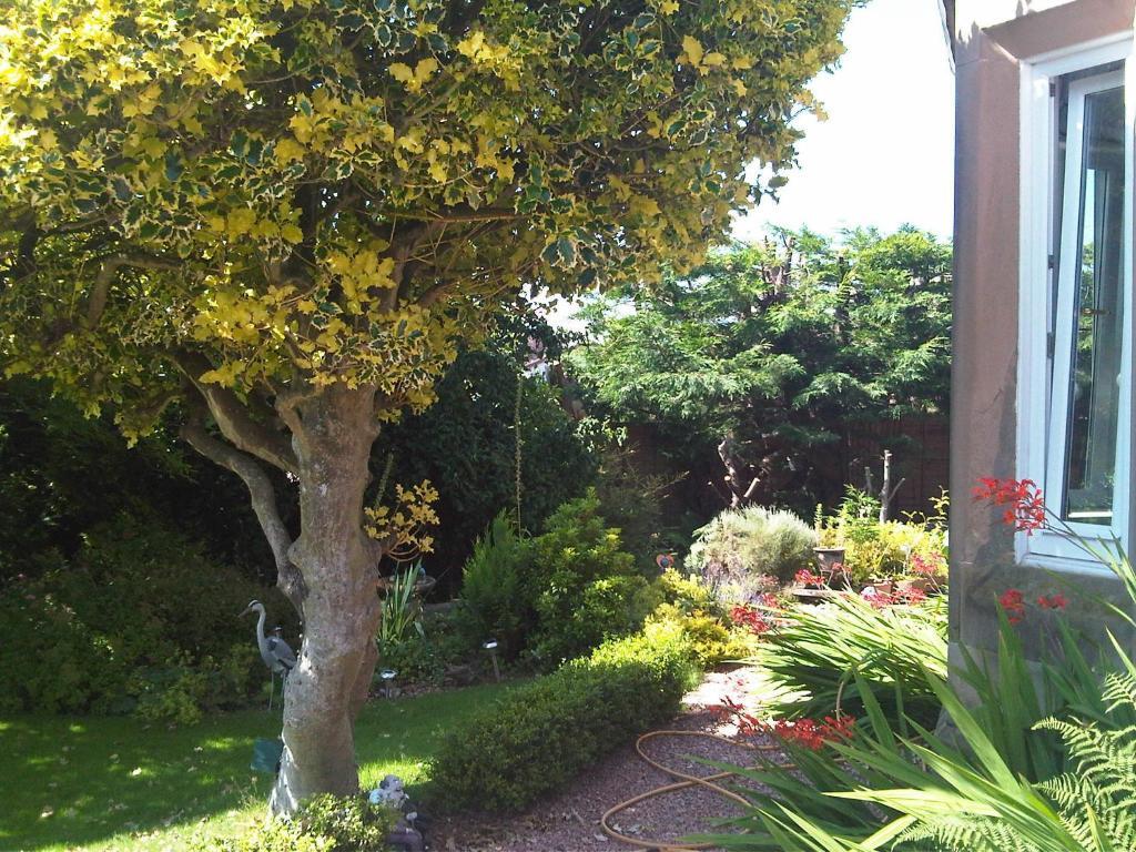 James Cottage Guest House Crieff Εξωτερικό φωτογραφία